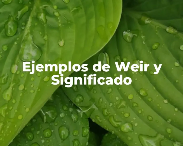 Ejemplos de Weir y Significado