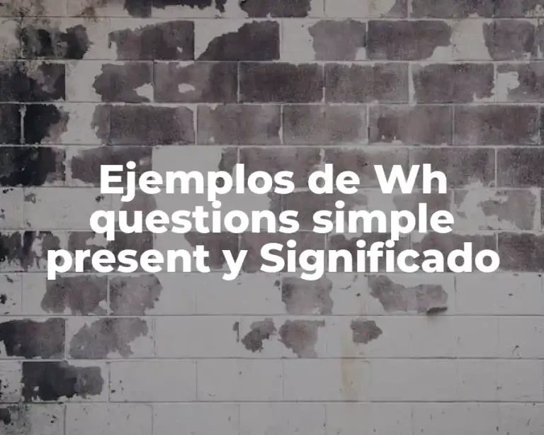 Ejemplos de Wh questions simple present y Significado