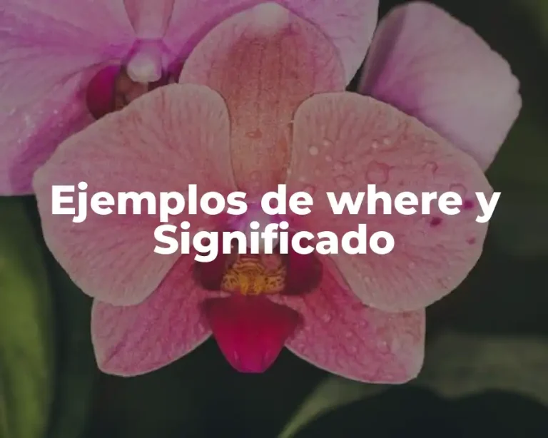 Ejemplos de where y Significado