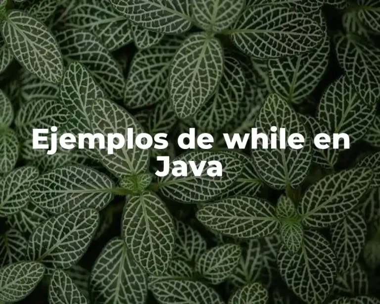 Ejemplos de while en Java