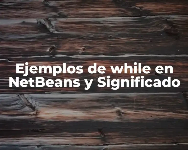 Ejemplos de while en NetBeans y Significado