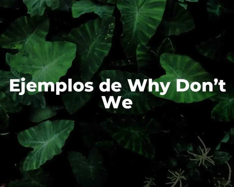 Ejemplos de Why Don’t We