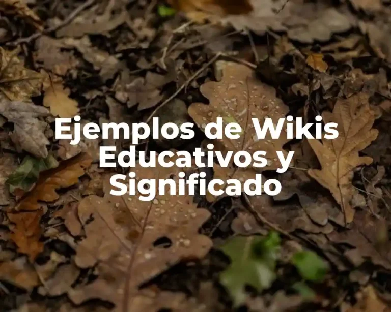 Ejemplos de Wikis Educativos y Significado