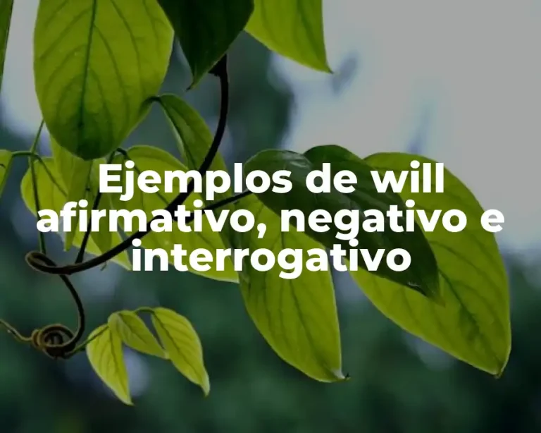 Ejemplos de will afirmativo, negativo e interrogativo