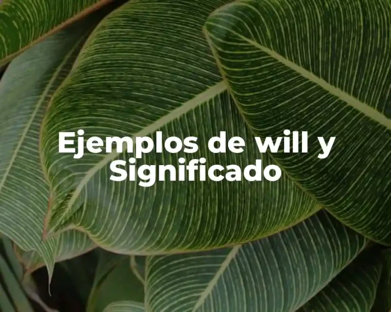 Ejemplos de will y Significado
