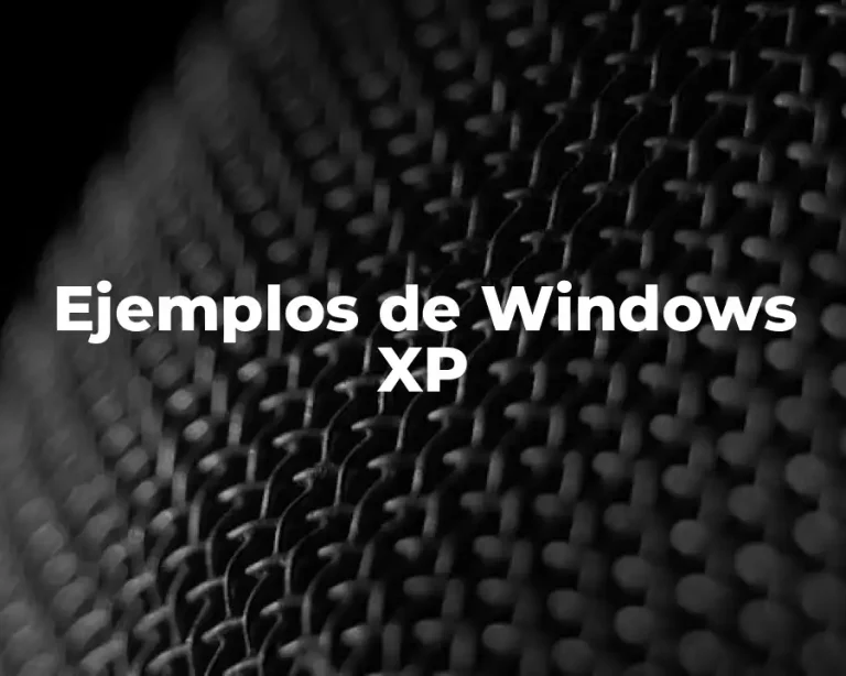 Ejemplos de Windows XP
