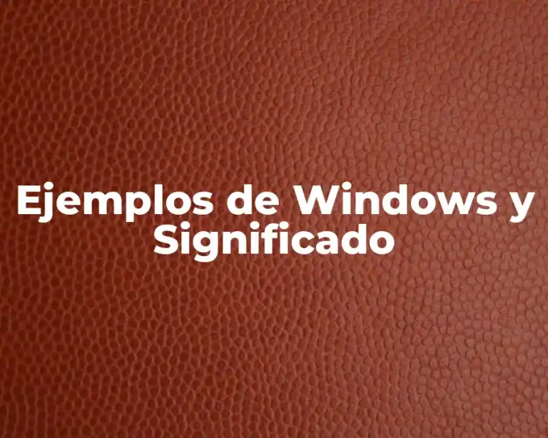 Ejemplos de Windows y Significado