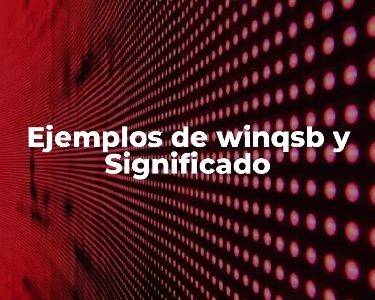Ejemplos de winqsb y Significado