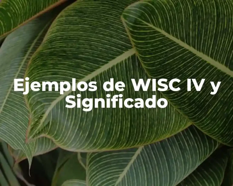 Ejemplos de WISC IV y Significado