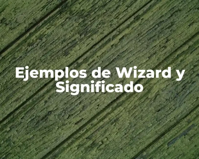 Ejemplos de Wizard y Significado
