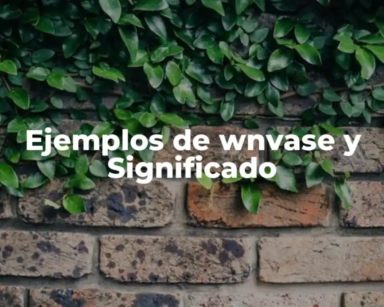 Ejemplos de wnvase y Significado