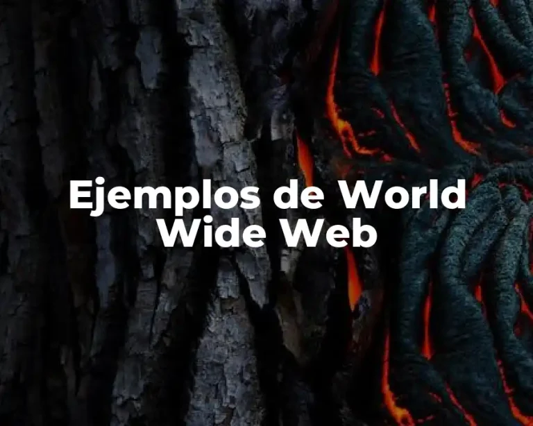Ejemplos de World Wide Web