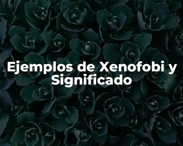 Ejemplos de Xenofobi y Significado