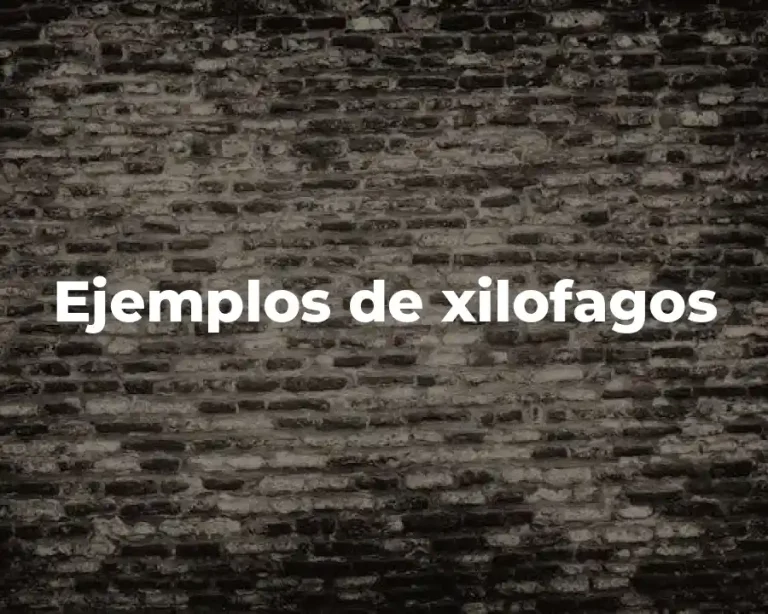 Ejemplos de xilofagos