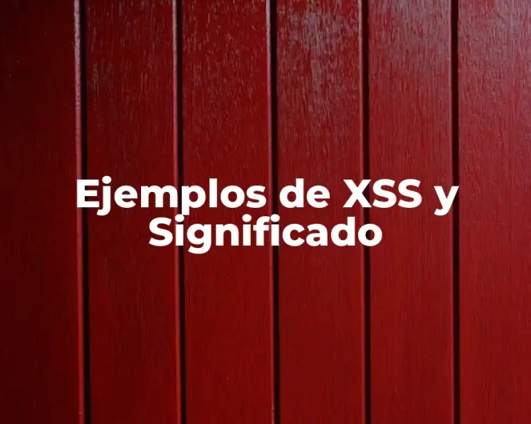 Ejemplos de XSS y Significado