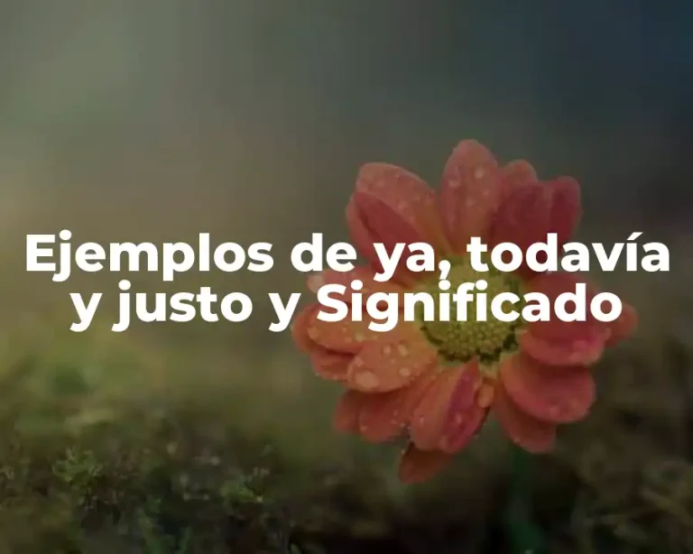 Ejemplos de ya, todavía y justo y Significado