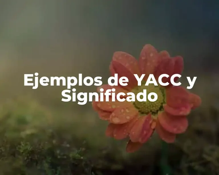 Ejemplos de YACC y Significado
