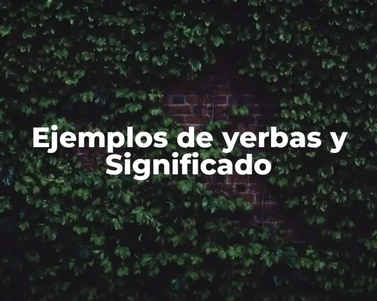Ejemplos de yerbas y Significado