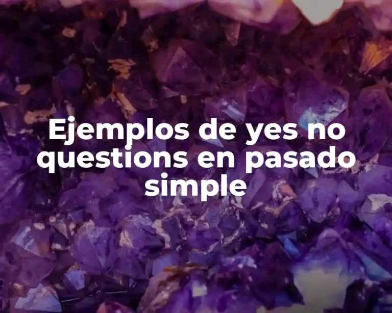 Ejemplos de yes no questions en pasado simple