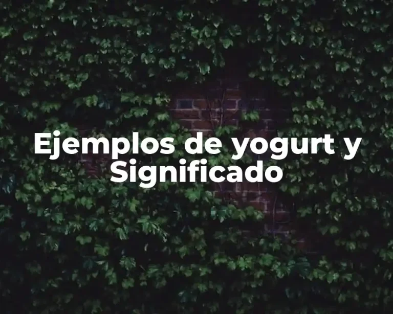 Ejemplos de yogurt y Significado