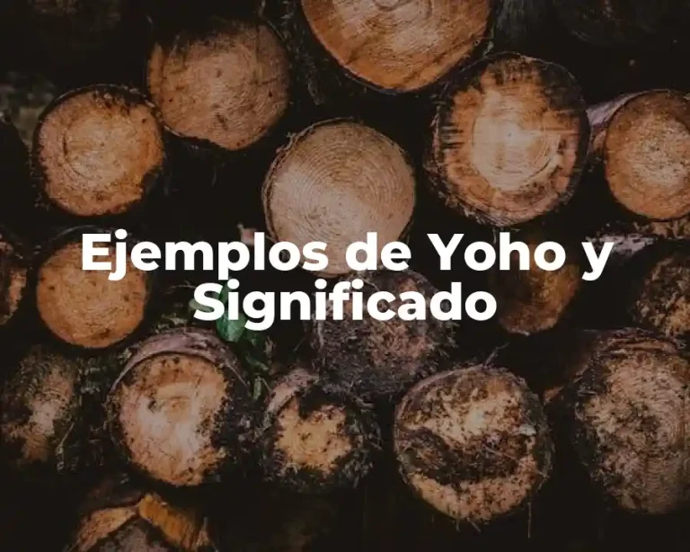 Ejemplos de Yoho y Significado
