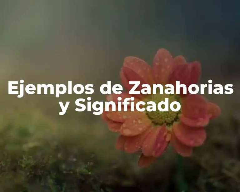 Ejemplos de Zanahorias y Significado