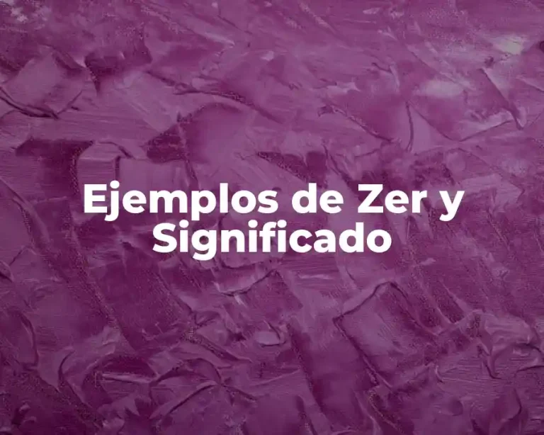 Ejemplos de Zer y Significado