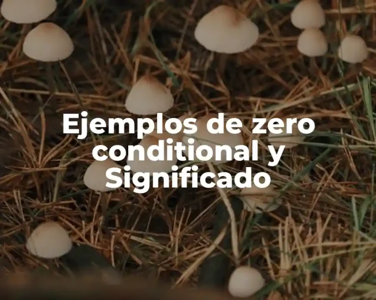 Ejemplos de zero conditional y Significado