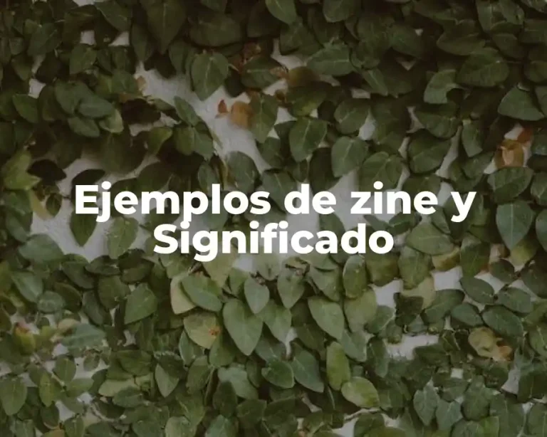 Ejemplos de zine y Significado