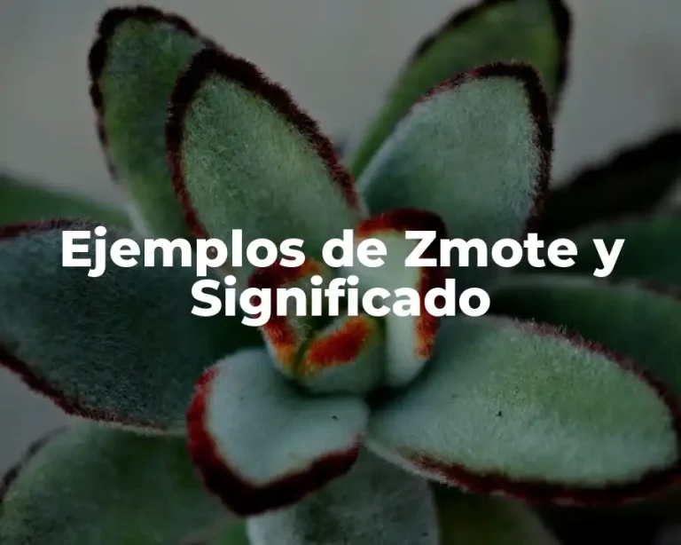 Ejemplos de Zmote y Significado
