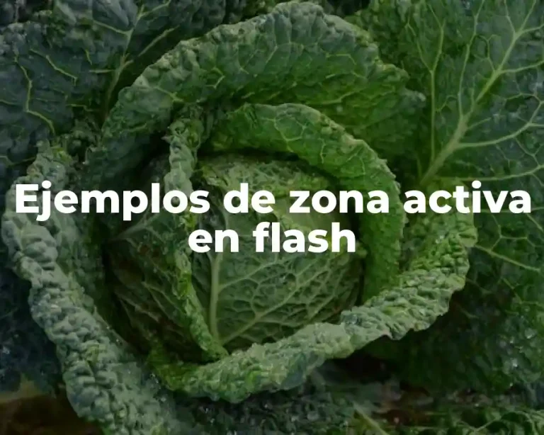 Ejemplos de zona activa en flash