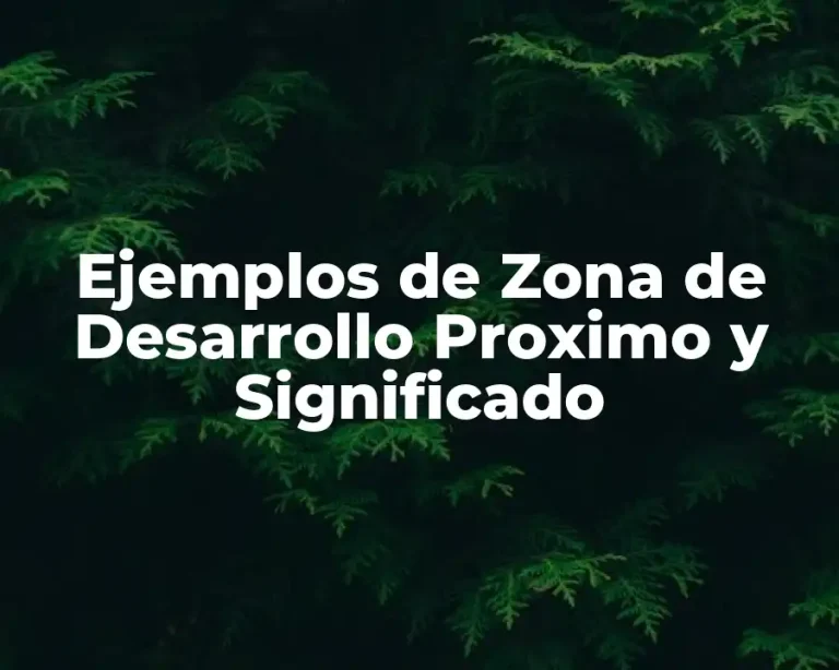 Ejemplos de Zona de Desarrollo Proximo y Significado