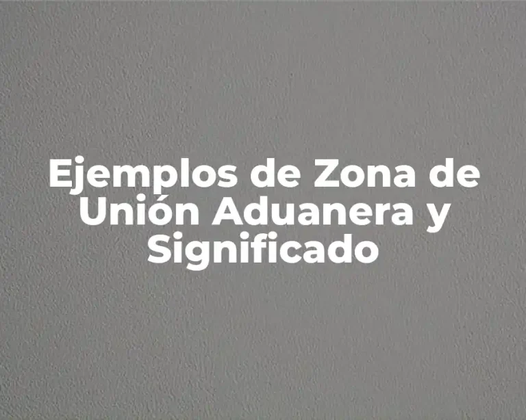 Ejemplos de Zona de Unión Aduanera y Significado
