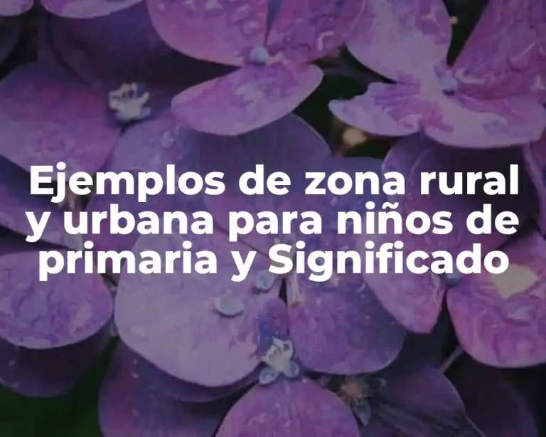 Ejemplos de zona rural y urbana para niños de primaria y Significado