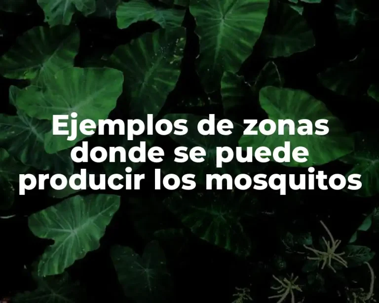 Ejemplos de zonas donde se puede producir los mosquitos