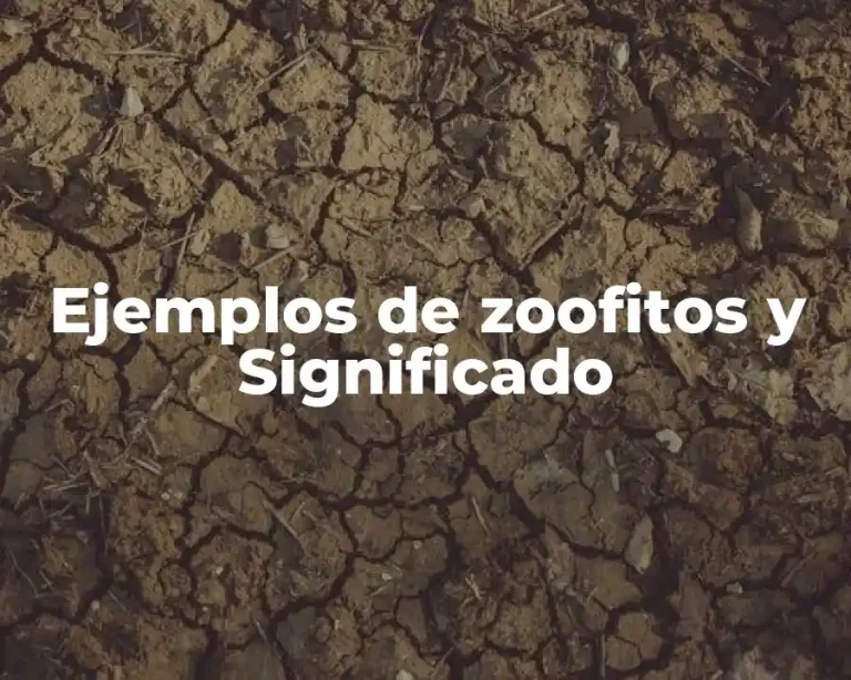 Ejemplos de zoofitos y Significado