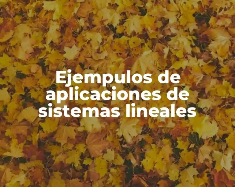 Ejempulos de aplicaciones de sistemas lineales