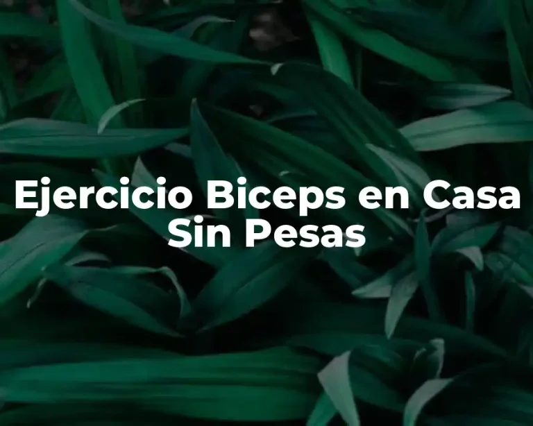 Ejercicio Biceps en Casa Sin Pesas