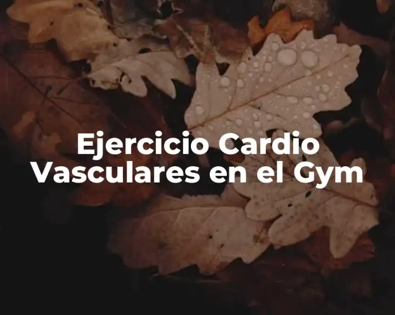 Ejercicio Cardio Vasculares en el Gym