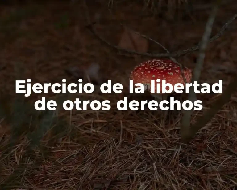 Ejercicio de la libertad de otros derechos