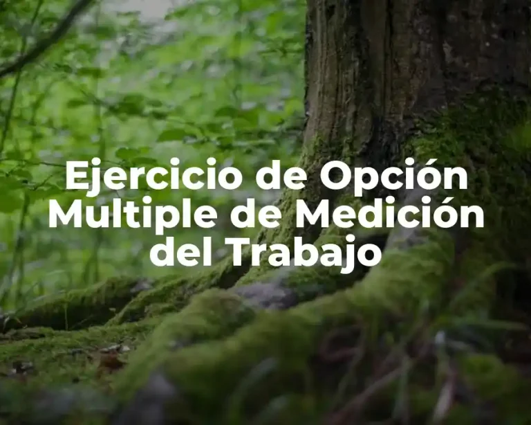 Ejercicio de Opción Multiple de Medición del Trabajo