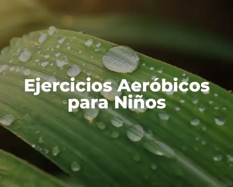 Ejercicios Aeróbicos para Niños