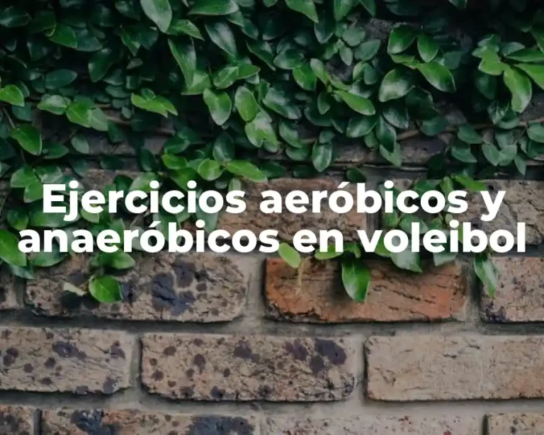 Ejercicios aeróbicos y anaeróbicos en voleibol