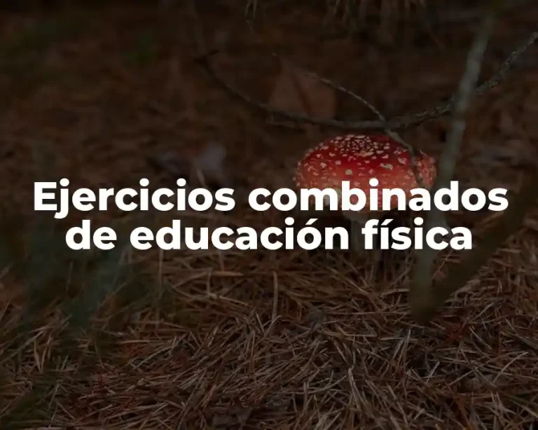 Ejercicios combinados de educación física