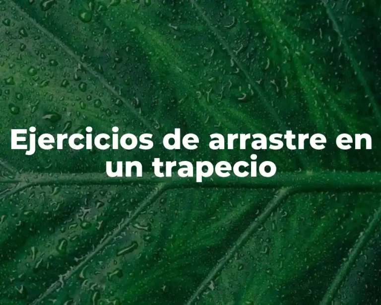 Ejercicios de arrastre en un trapecio