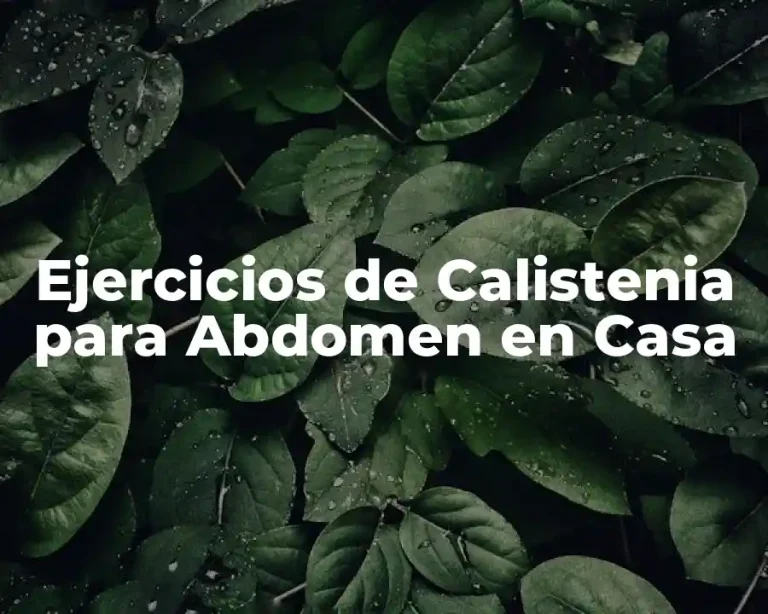 Ejercicios de Calistenia para Abdomen en Casa