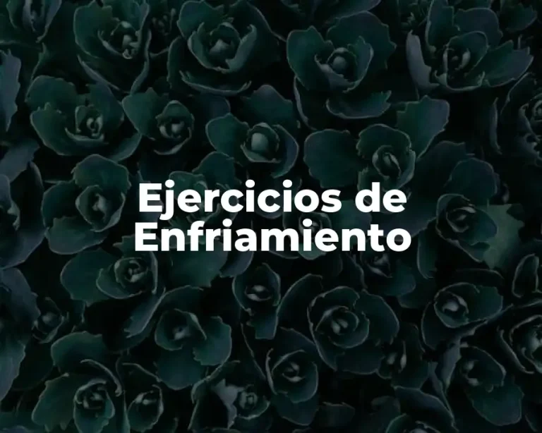 Ejercicios de Enfriamiento
