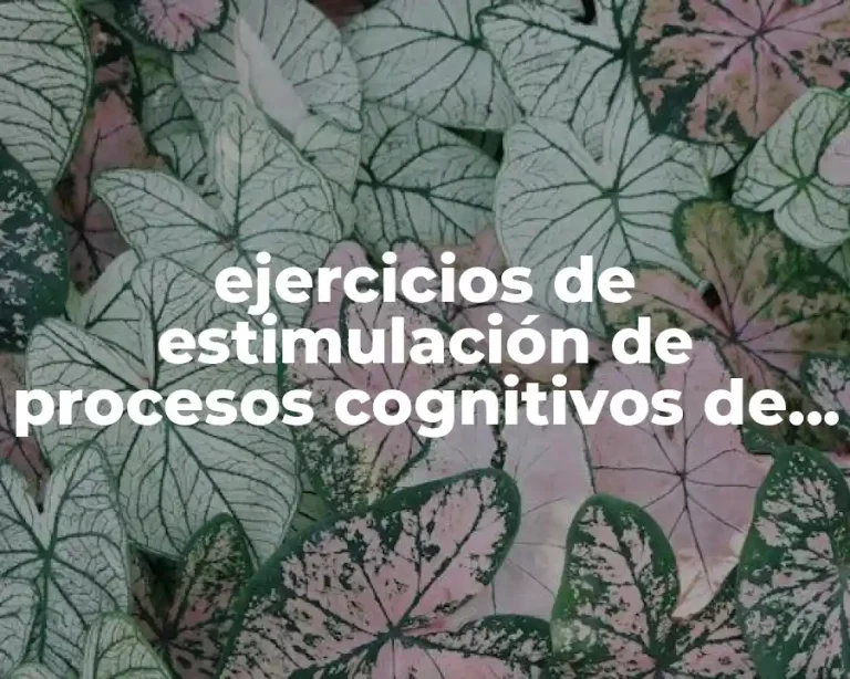 ejercicios de estimulación de procesos cognitivos de motivación