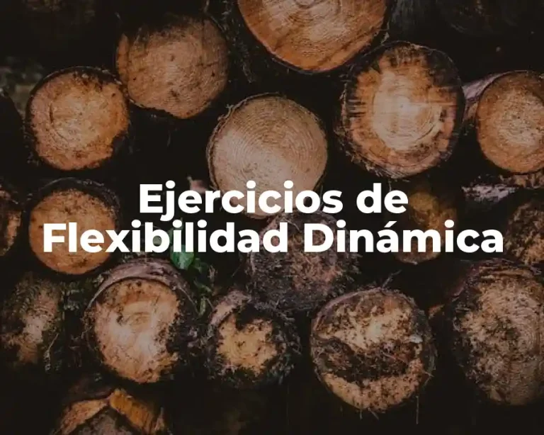 Ejercicios de Flexibilidad Dinámica