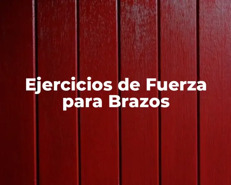 Ejercicios de Fuerza para Brazos